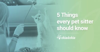 5 Things every pet sitter should know